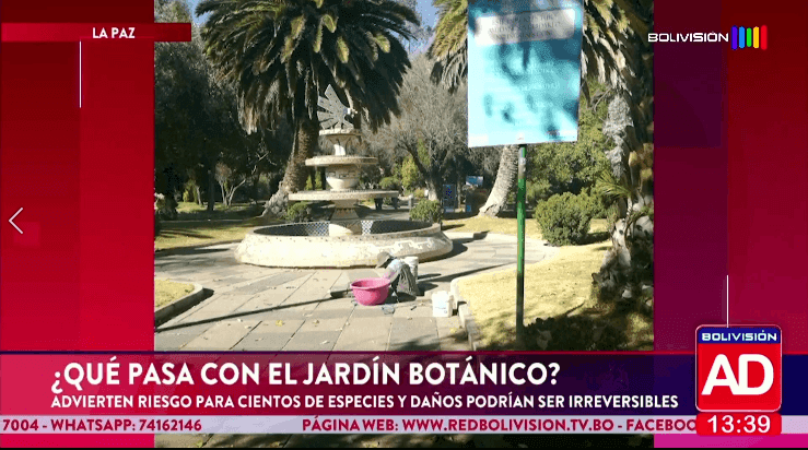 Fotografía de ¿Qué pasa con el Jardín Botánico de La Paz?