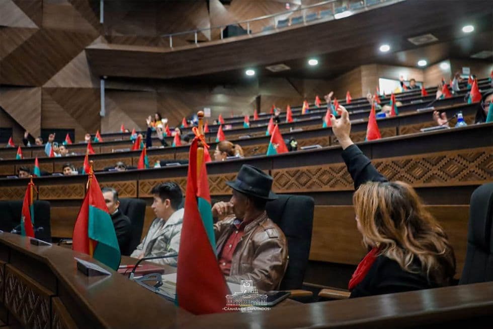 Fotografía de Diputados aprobó préstamo de hasta $us 500 millones del BID para protección social y lo remitió al Senado