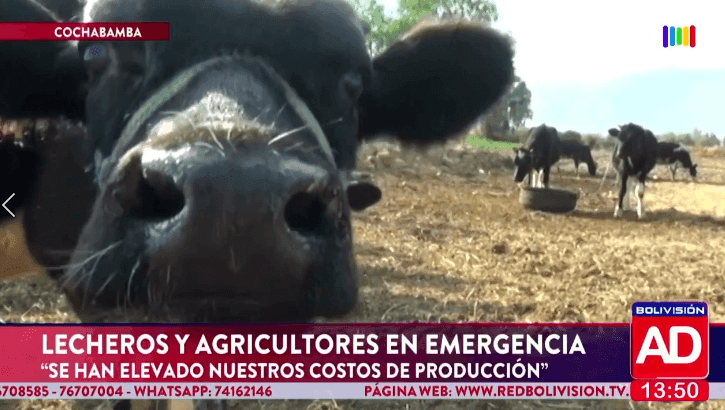 Fotografía de Lecheros y agricultores se declararon en emergencia por la falta de diésel y el alza del dólar