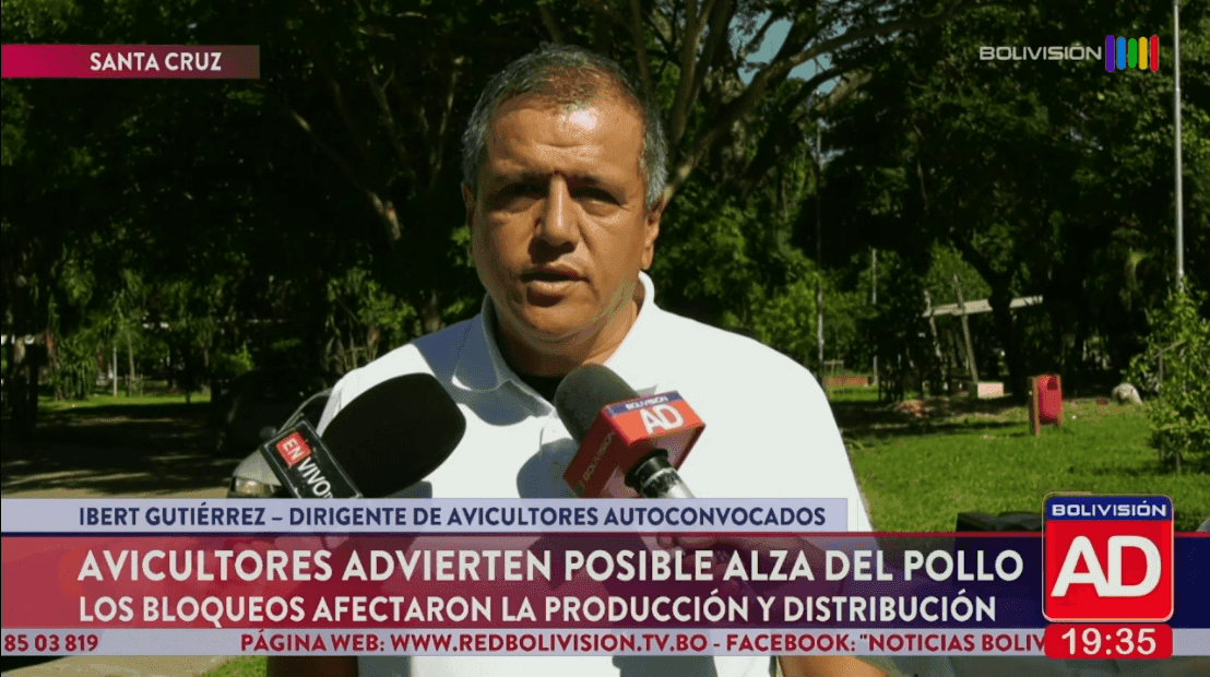 Fotografía de Avicultores advierten alza de precio del pollo