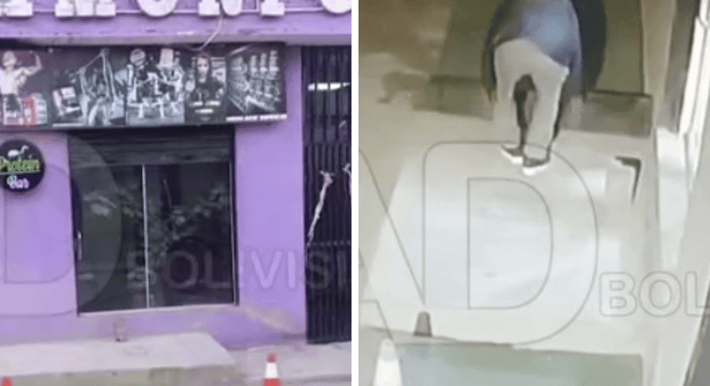 Fotografía de Roban alfombras de césped sintético de gimnasio en Potosí