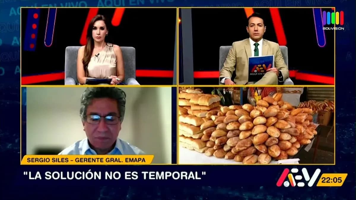 Fotografía de Emapa anuncia producción de harina ante el déficit