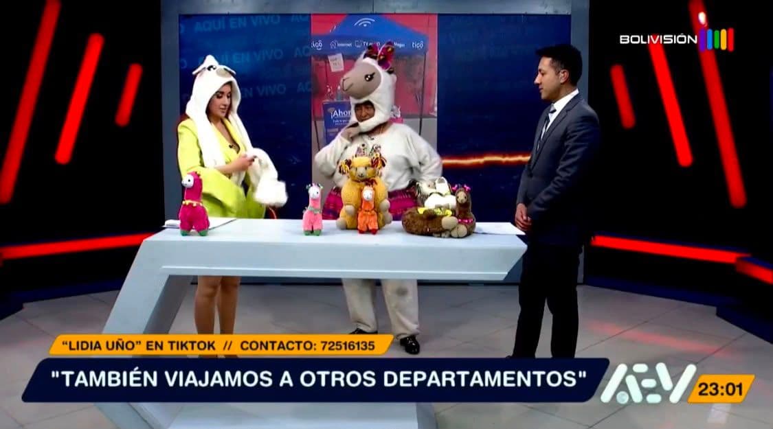 Fotografía de Las llamitas artesanales que conquistan corazones en toda Bolivia