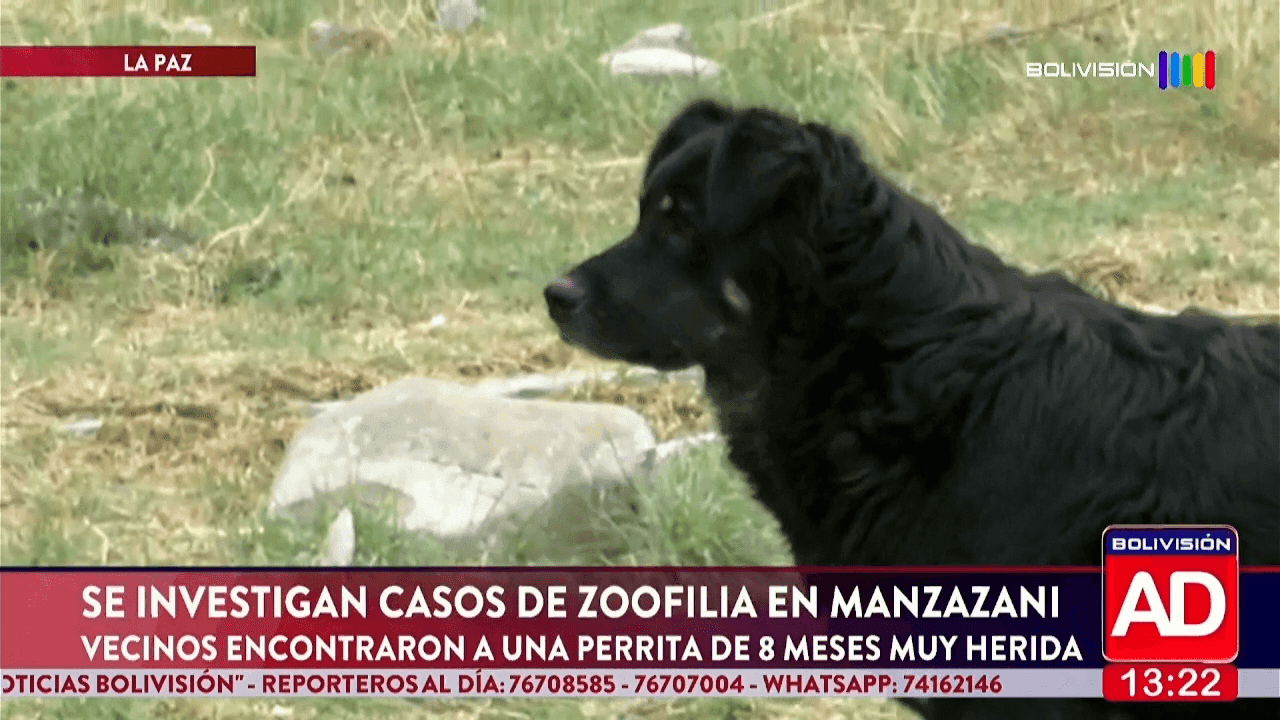 Fotografía de Investigan un presunto caso de zoofilia y buscan identificar a los responsables