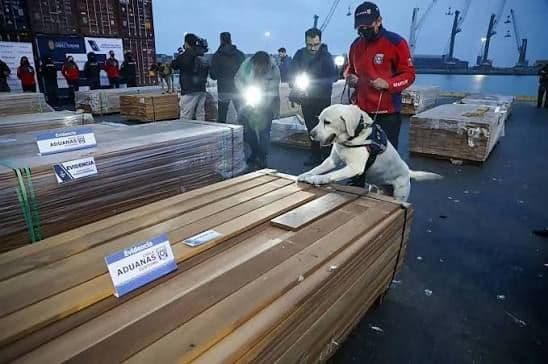 Fotografía de Chile decomisa cargamento de droga oculto en madera boliviana con valor superior a $us 8.300 millones
