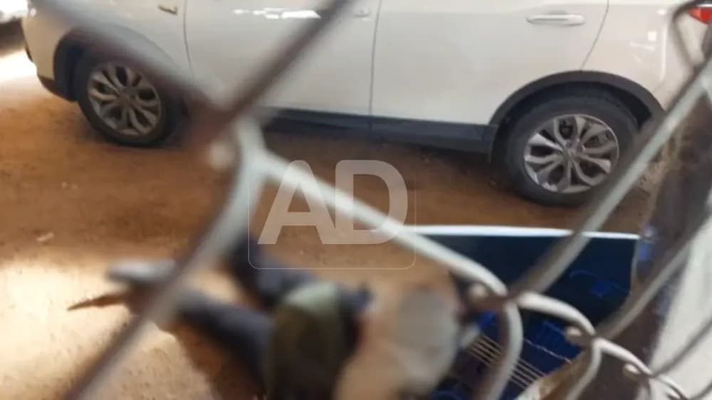 Identifican a Johan Guzmán Parada, hombre acribillado frente al zoológico de Santa Cruz