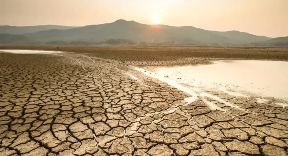El Súper Niño elevó las temperaturas y el riesgo de incendios en Bolivia
