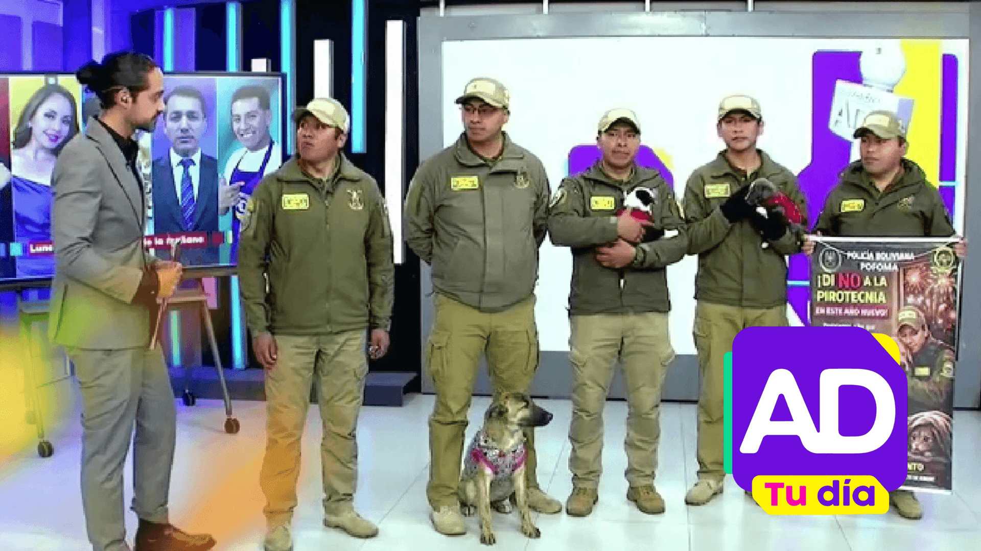Fotografía de Campaña contra la pirotecnia busca proteger a las mascotas durante San Juan