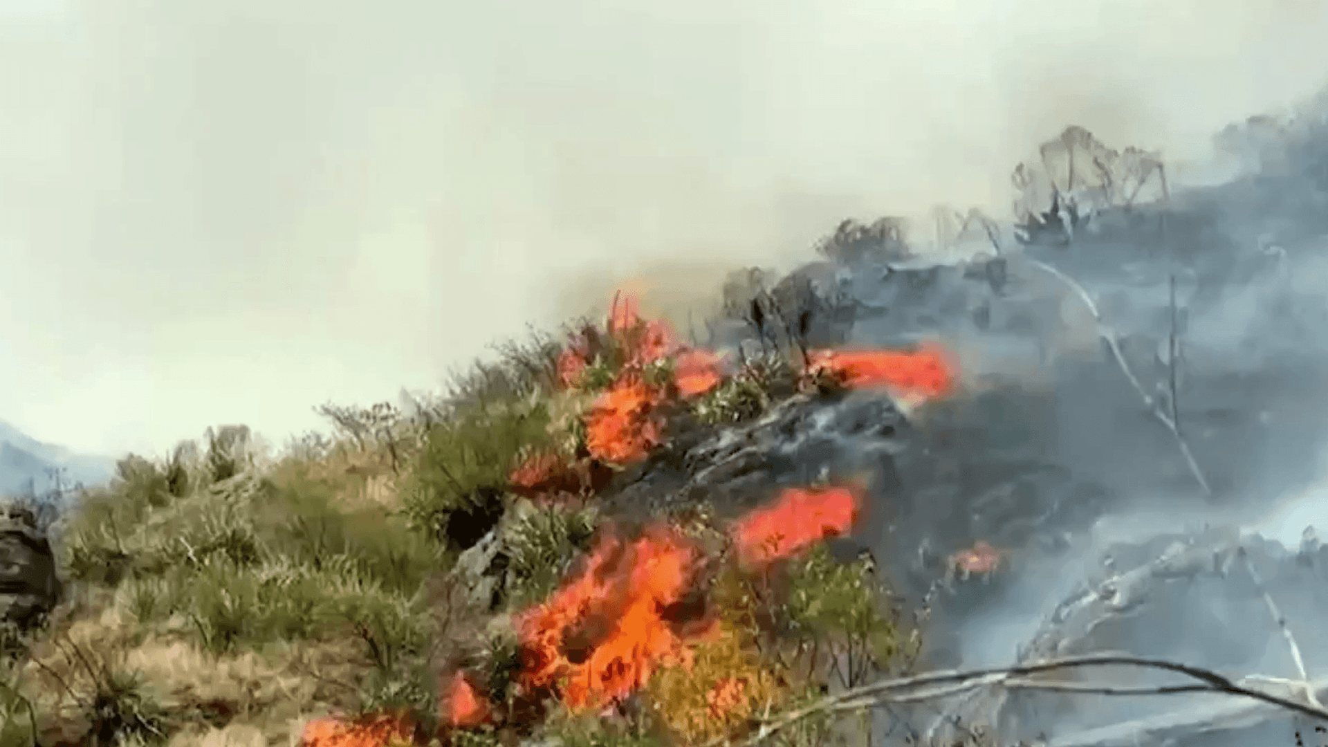 Fotografía de Incendios en Tarija afectan zonas rurales y movilizan a bomberos