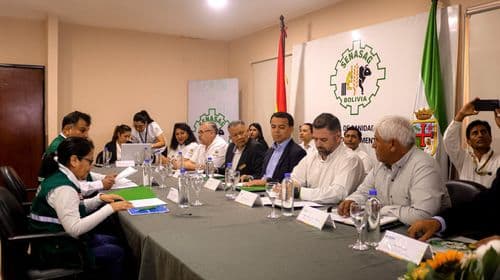 Bolivia y Perú avanzan en el proceso para habilitar la exportación de algodón boliviano