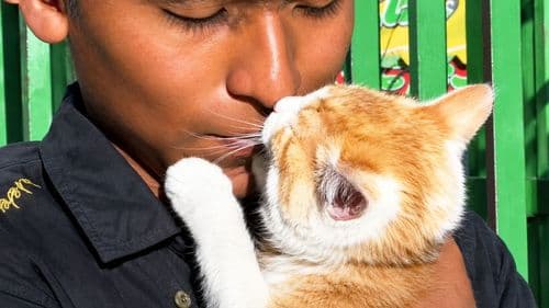Manuel Callizaya y su gatita Linda: una historia de emprendimiento y sueños por cumplir