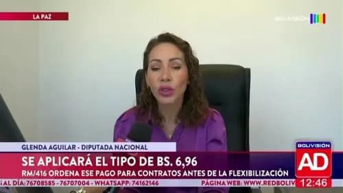 Contratos anteriores a la flexibilización deberán respetar el tipo de cambio de Bs 6,96