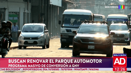 Gobierno proyecta renovar el parque automotor y liquidar empresas deficitarias