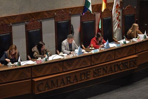 Crédito del BID por $us 500 millones fue sancionado por el Senado