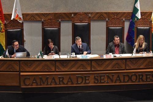 Senado aprueba crédito del FMI: ¿En qué se usarán los $us 1.900 millones?  