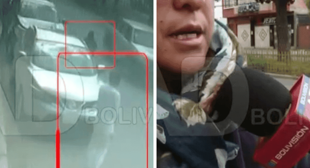 Fotografía de Los plumeros toman la avenida del Policía sin presencia de control