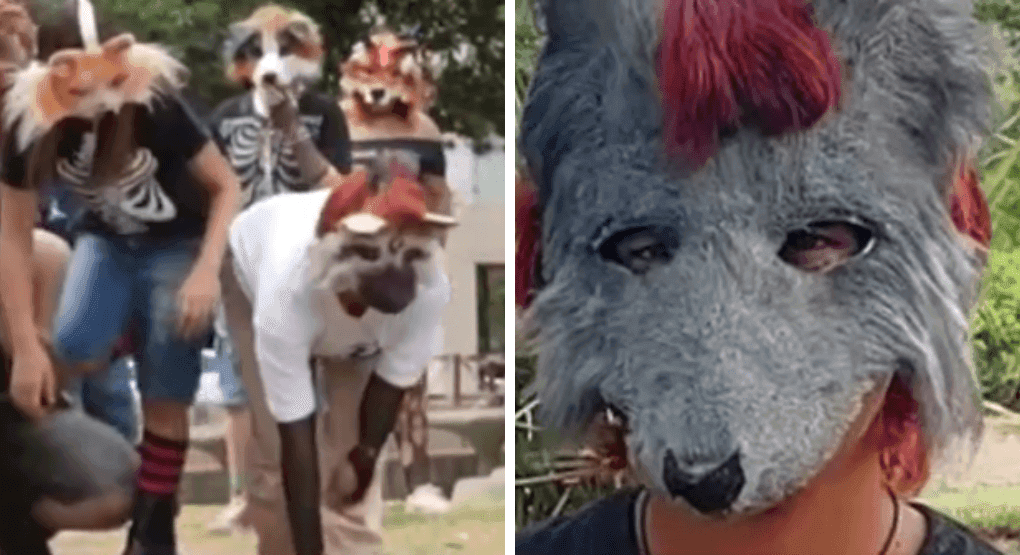 Fotografía de ¿Qué son los therians? La tendencia adolescente que causa controversia en Latinoamérica