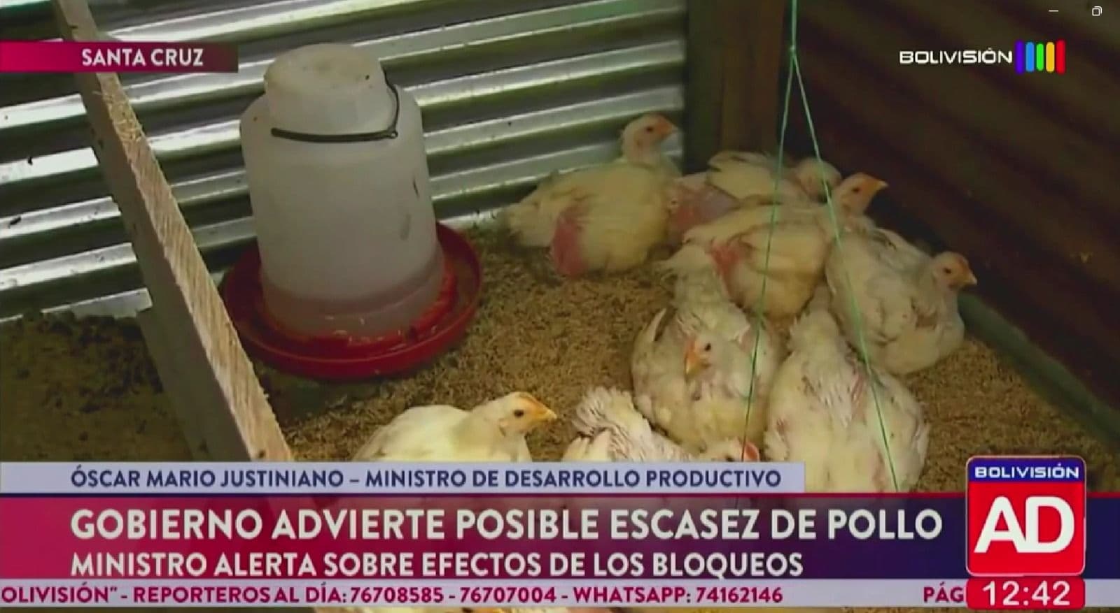 Fotografía de Gobierno advierte posible desabastecimiento de pollo por impacto de los bloqueos