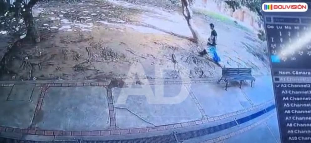 Fotografía de Cayó tras volver a robar: sujeto fue aprehendido al ingresar por segunda vez a un colegio en Santa Cruz