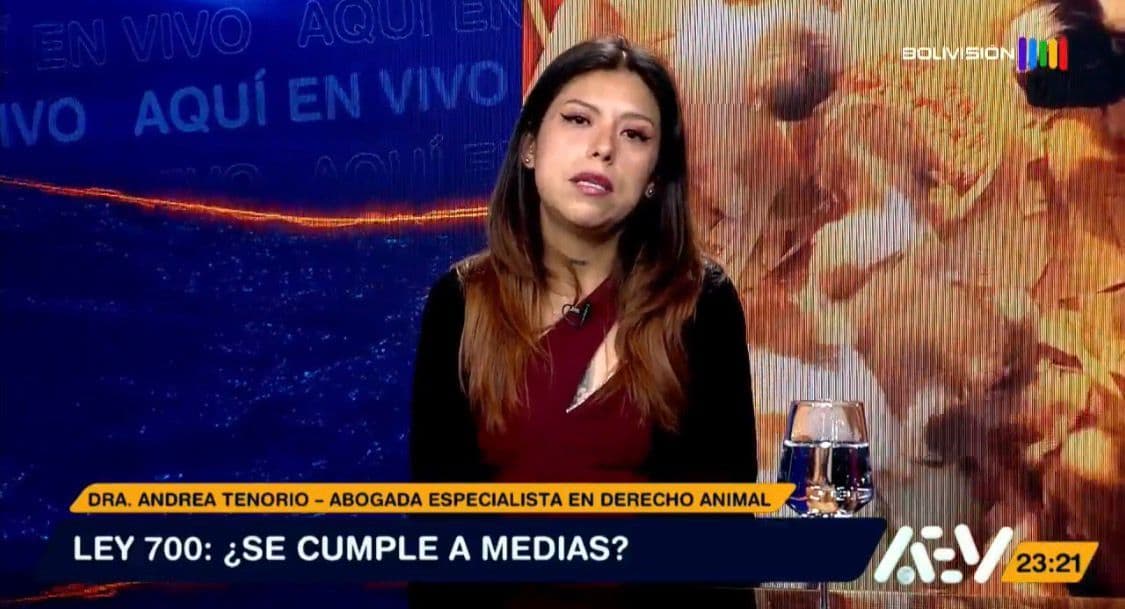 Fotografía de ¿Se cumple la Ley 700 en Bolivia? Especialista analiza la protección de los animales