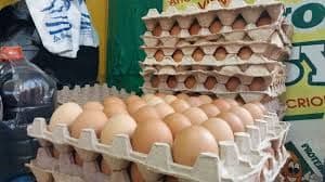 Fotografía de Revelan ruta activa de contrabando de huevos en la frontera entre Bolivia y Perú