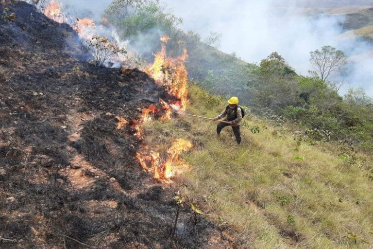 Fotografía de Viceministro afirmó que la mayoría de los incendios forestales fueron provocados