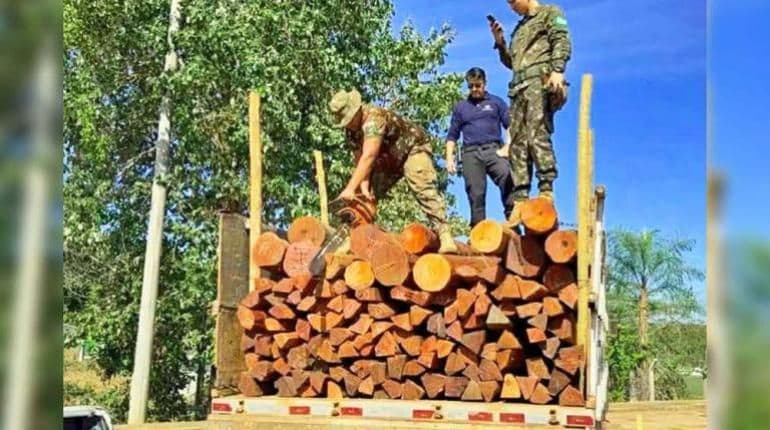 Fotografía de Liberaron camiones con madera tras descartar presencia de droga, pero el sector reportó pérdidas millonarias