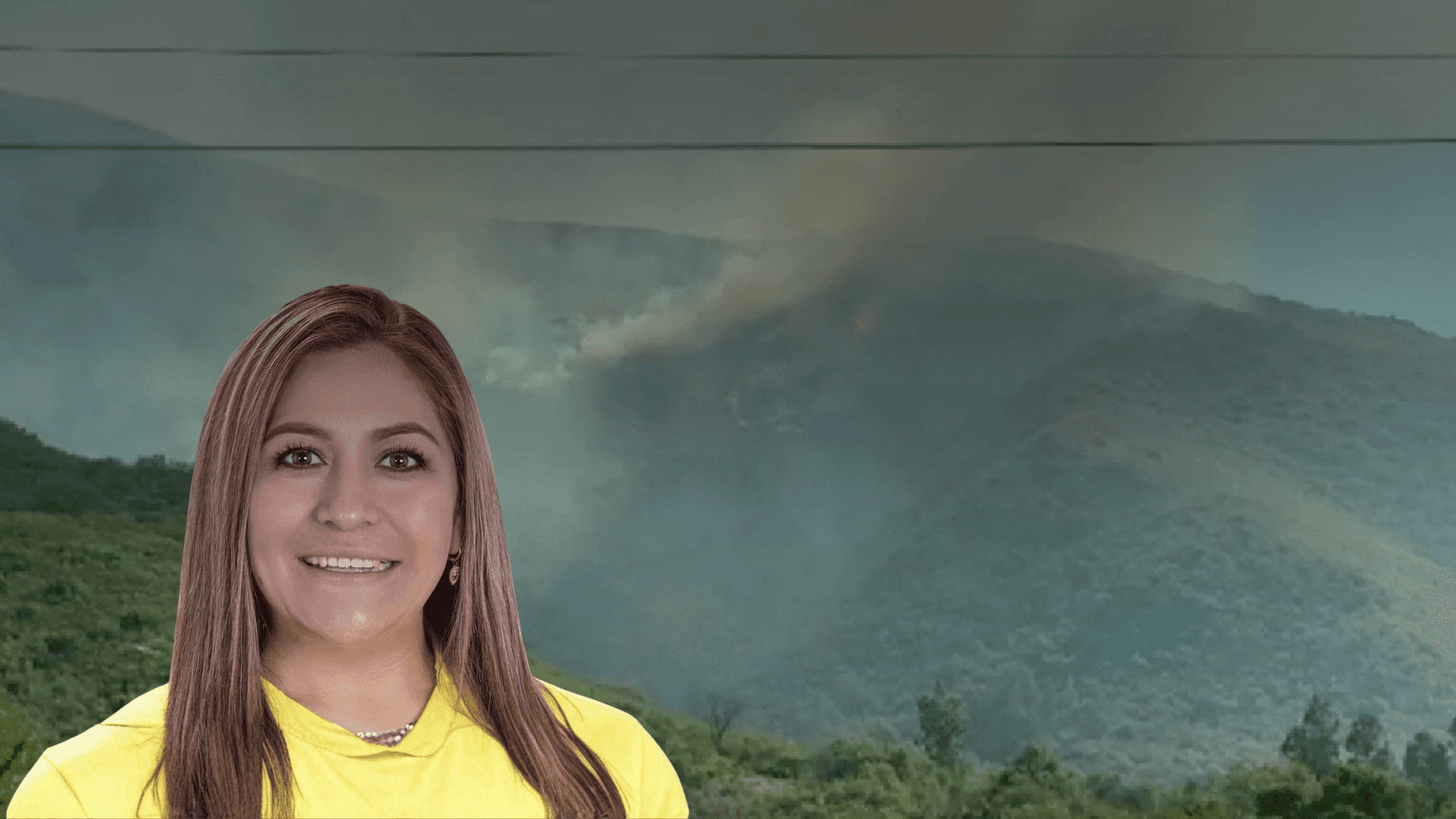 Fotografía de Diputada plantea sancionar el ecocidio por incendios