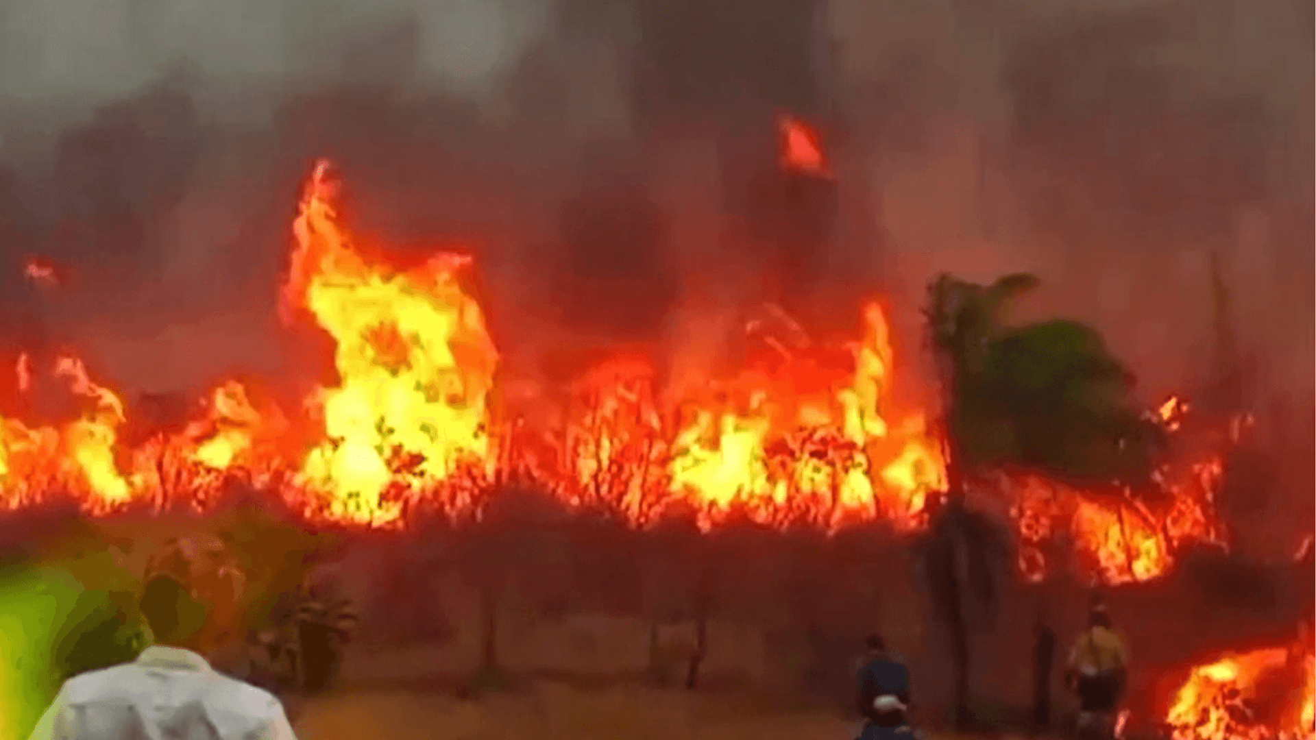 Fotografía de Incendios deterioran la calidad del aire y los focos de calor llegan hasta La Paz