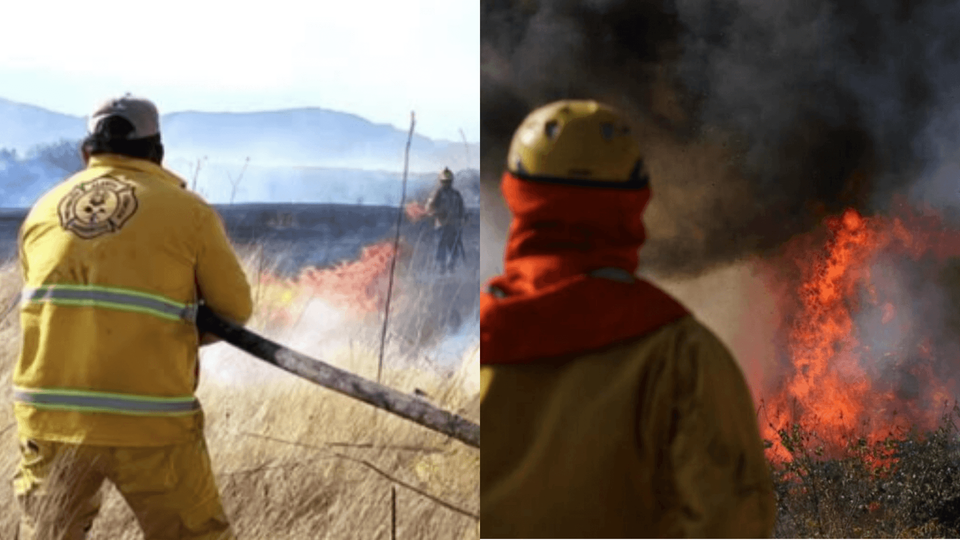 Fotografía de Incendio afecta a la comunidad de Pinos Sud en Tarija