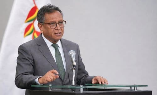 Gobierno revela delitos investigados contra Roger Mariaca