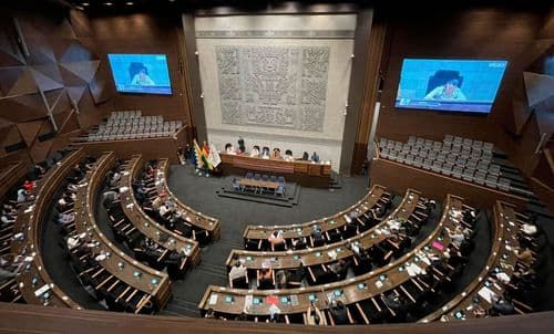 Gobierno espera que la ALP trate esta semana la ley del FMI y la ampliación del estado de excepción