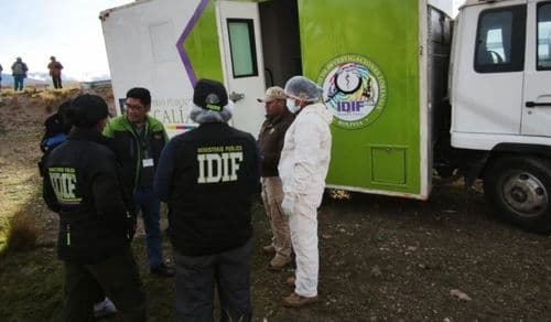 Bolivia suma 63 feminicidios en lo que va de 2026: La Paz registra 21 casos
