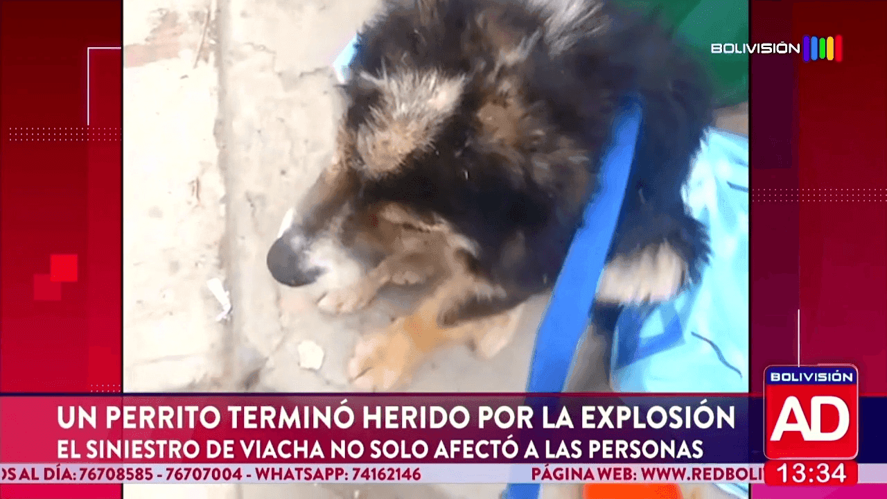 Ministro de Gobierno será interpelado por el caso Cerimedo